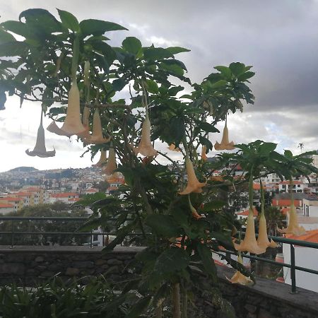 Casa Vanday Funchal  Zewnętrze zdjęcie