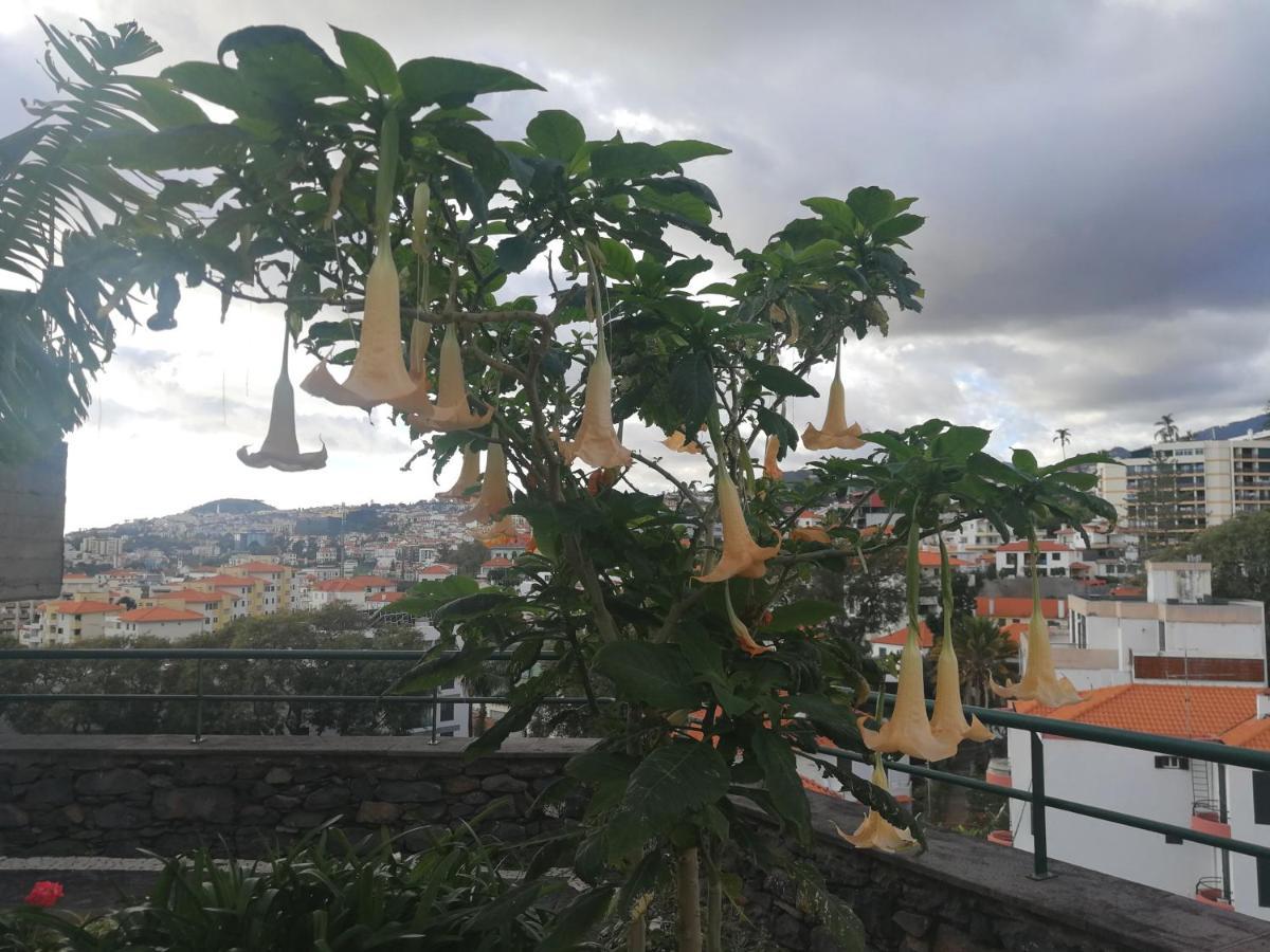 Casa Vanday Funchal  Zewnętrze zdjęcie